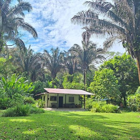 Four Monkeys Eco Lodge Jungle & Beach - The House Cabo Matapalo Esterno foto