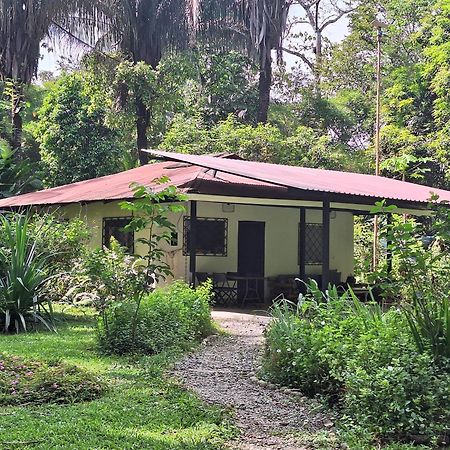Four Monkeys Eco Lodge Jungle & Beach - The House Cabo Matapalo Esterno foto