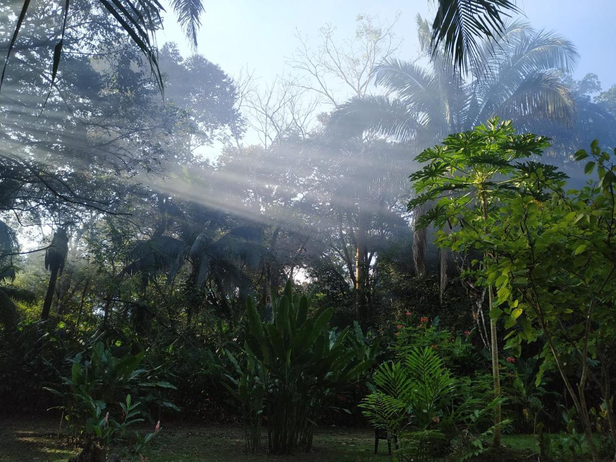 Four Monkeys Eco Lodge Jungle & Beach - The House Cabo Matapalo Esterno foto