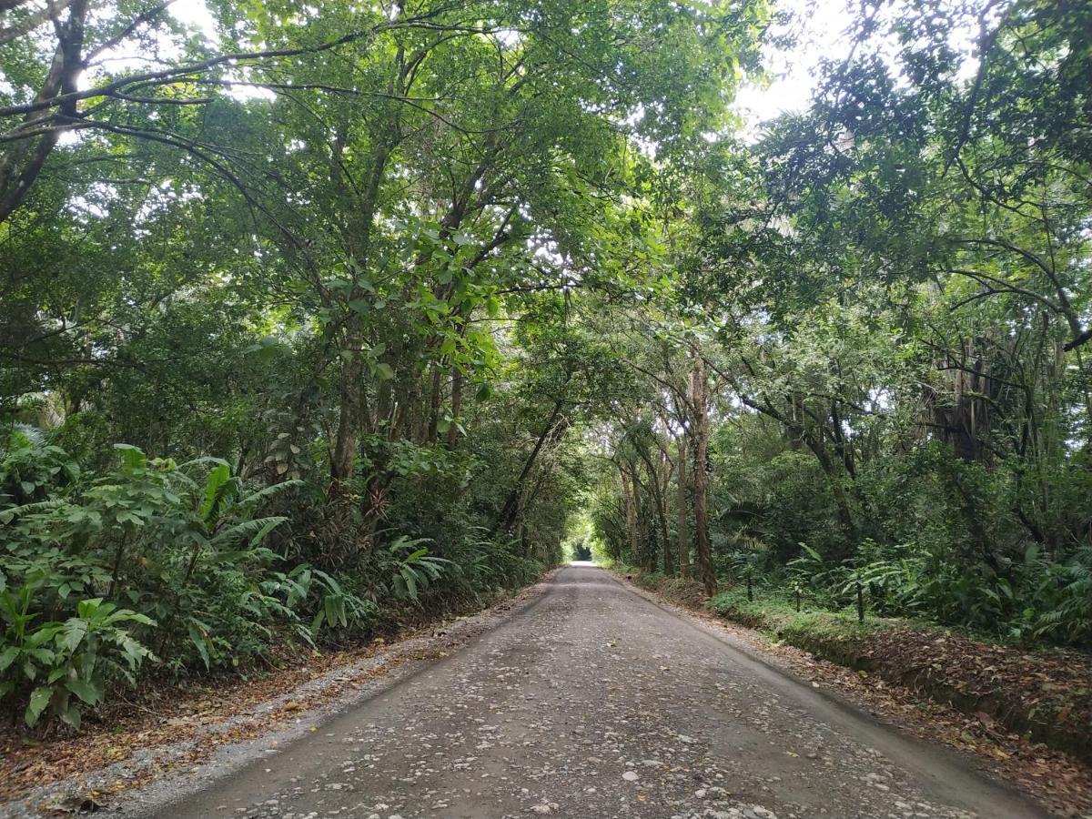 Four Monkeys Eco Lodge Jungle & Beach - The House Cabo Matapalo Esterno foto
