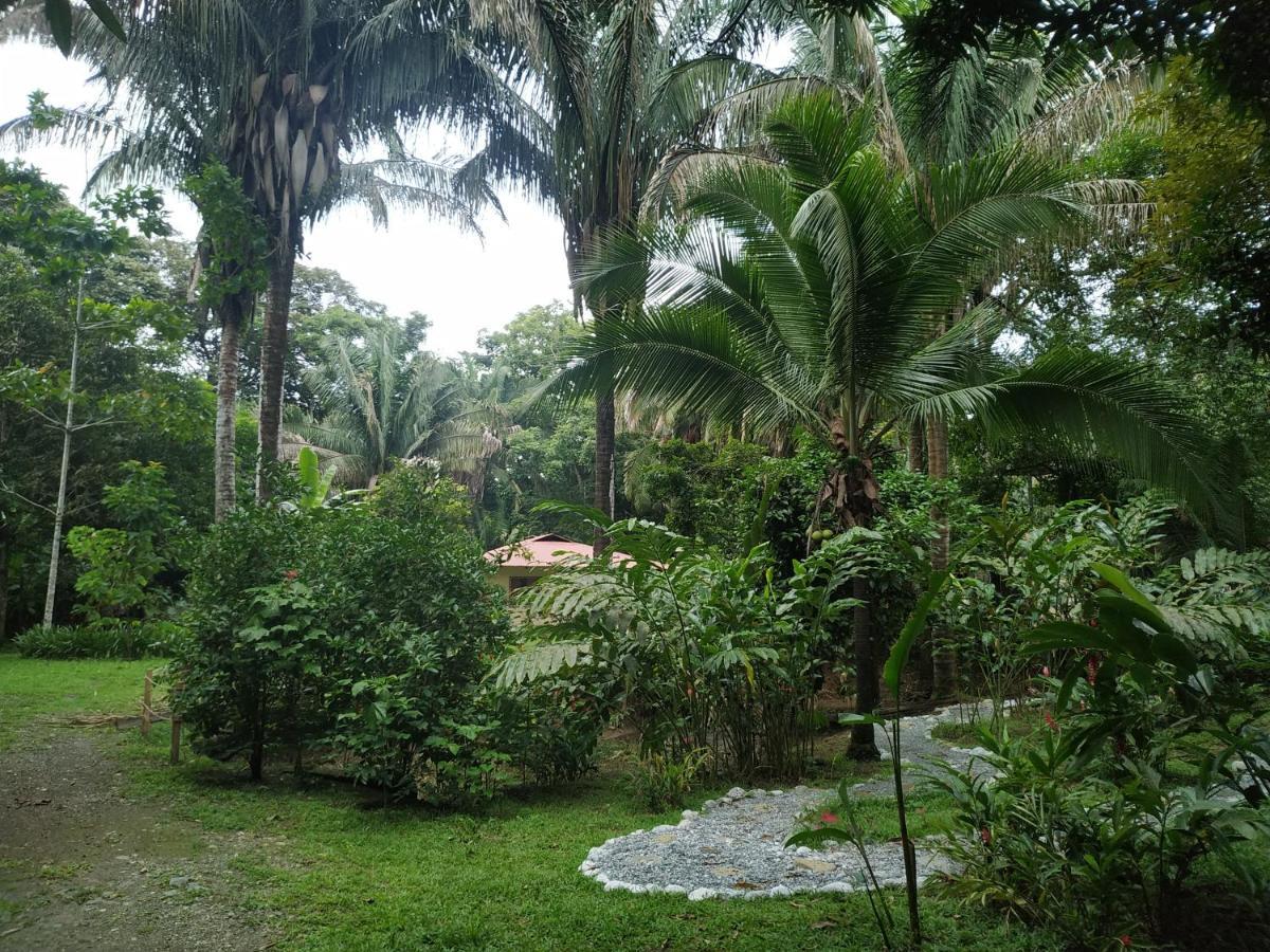 Four Monkeys Eco Lodge Jungle & Beach - The House Cabo Matapalo Esterno foto