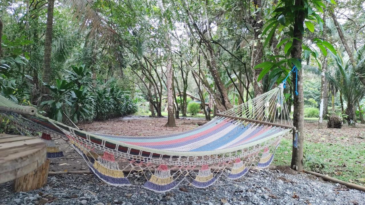 Four Monkeys Eco Lodge Jungle & Beach - The House Cabo Matapalo Esterno foto