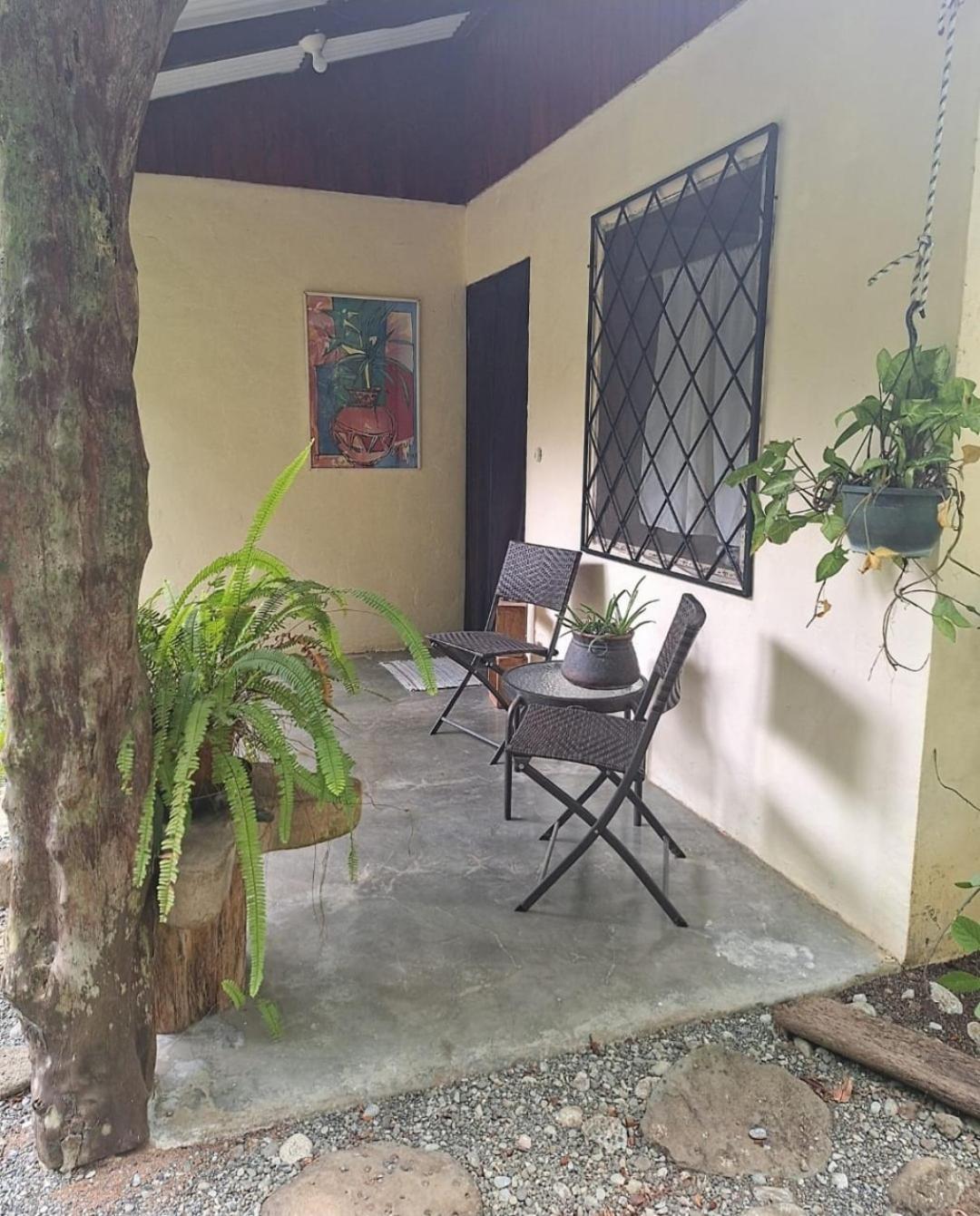 Four Monkeys Eco Lodge Jungle & Beach - The House Cabo Matapalo Esterno foto