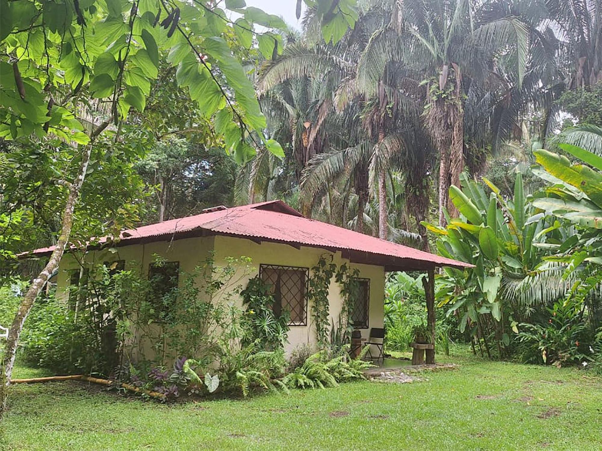Four Monkeys Eco Lodge Jungle & Beach - The House Cabo Matapalo Esterno foto