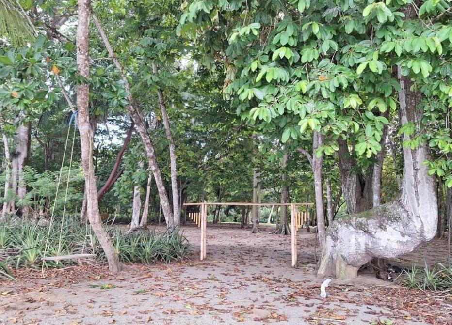 Four Monkeys Eco Lodge Jungle & Beach - The House Cabo Matapalo Esterno foto