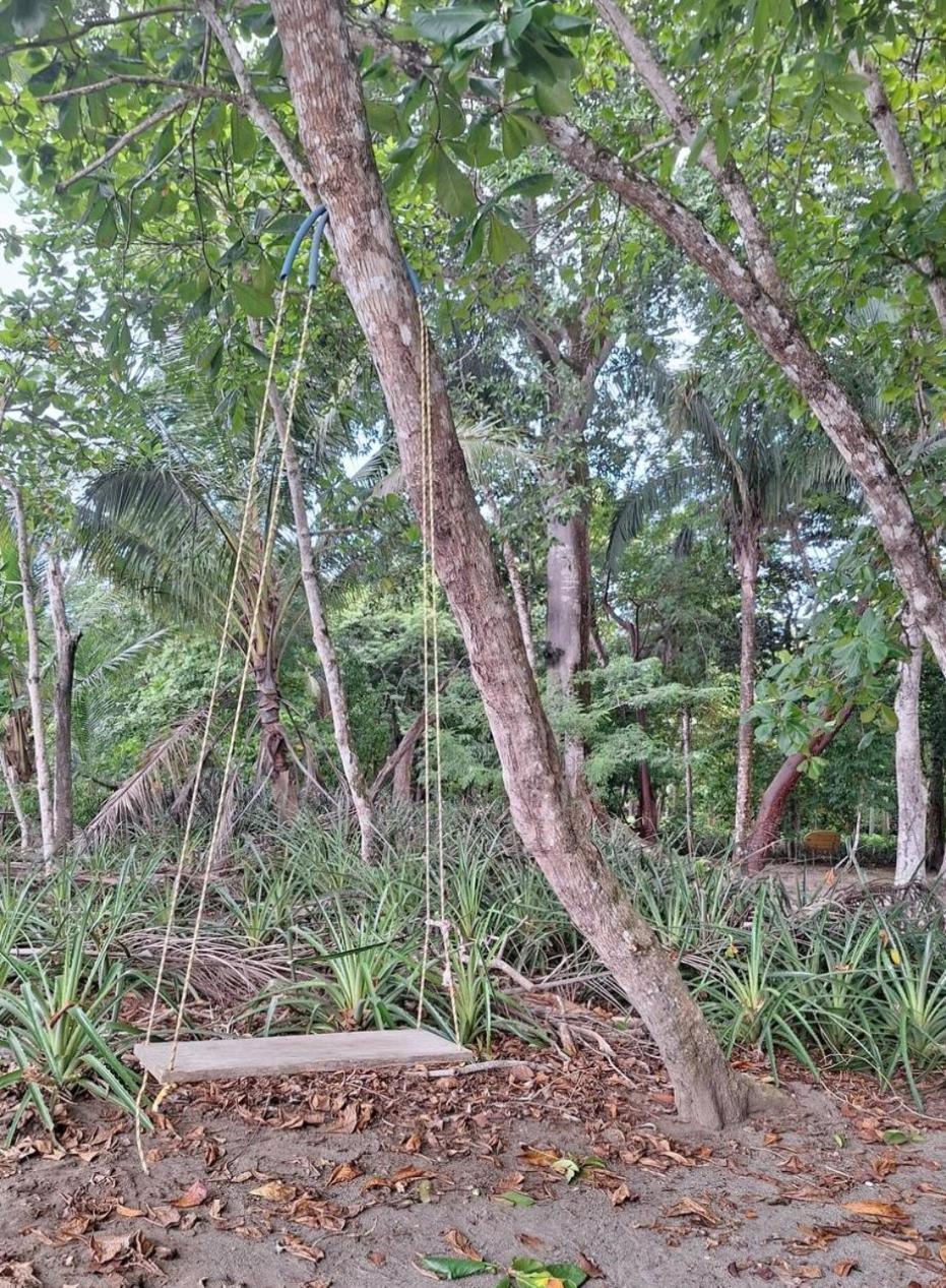 Four Monkeys Eco Lodge Jungle & Beach - The House Cabo Matapalo Esterno foto