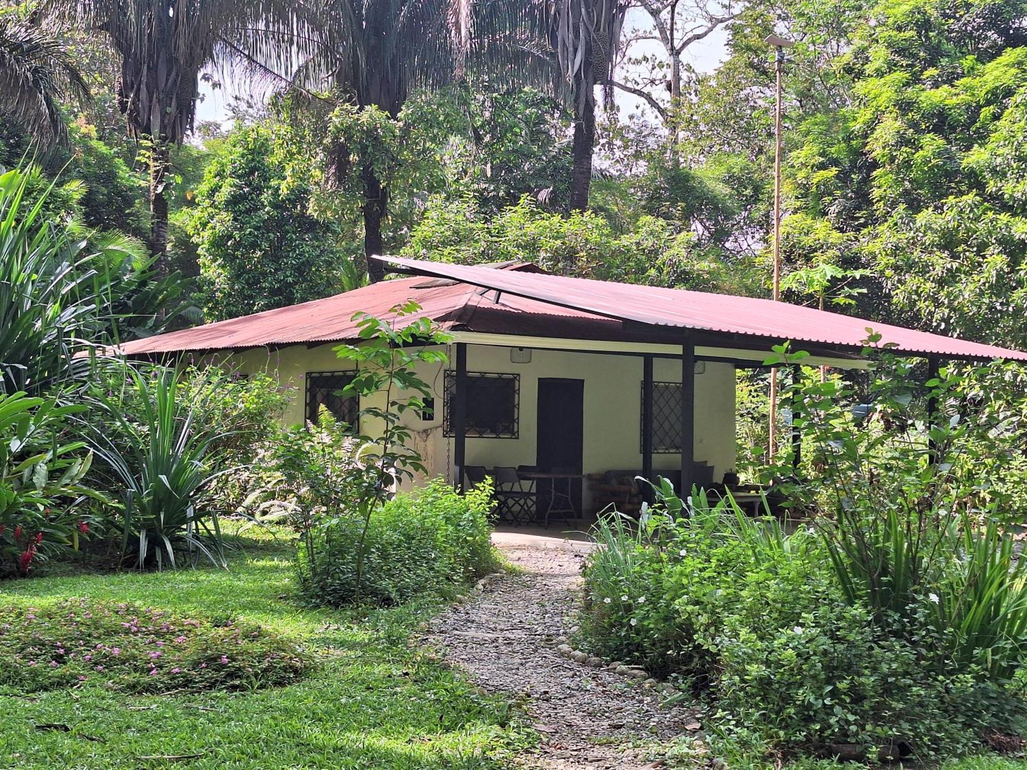 Four Monkeys Eco Lodge Jungle & Beach - The House Cabo Matapalo Esterno foto